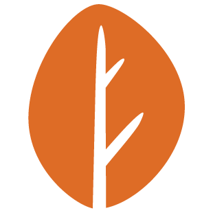 chatsteam.xyz favicon